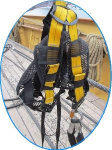 Harness small 450 border clip.jpg