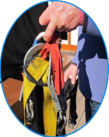 harness red tag 450 border clip.jpg