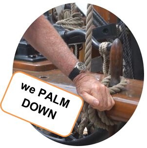 we palm down.jpg